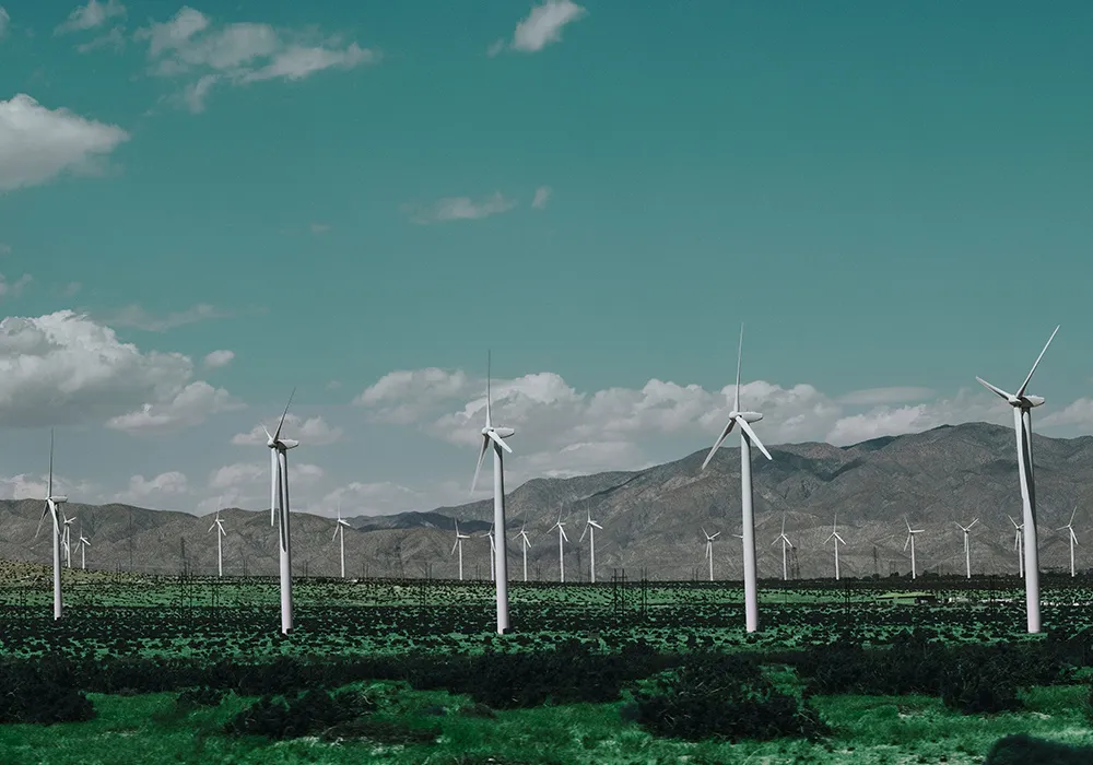 Renewable Energy Solutions