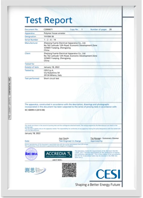 Test Report