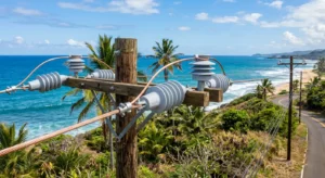 Solving Harsh Environment Line Faults with FUERTE Silicone Rubber Pin Insulators